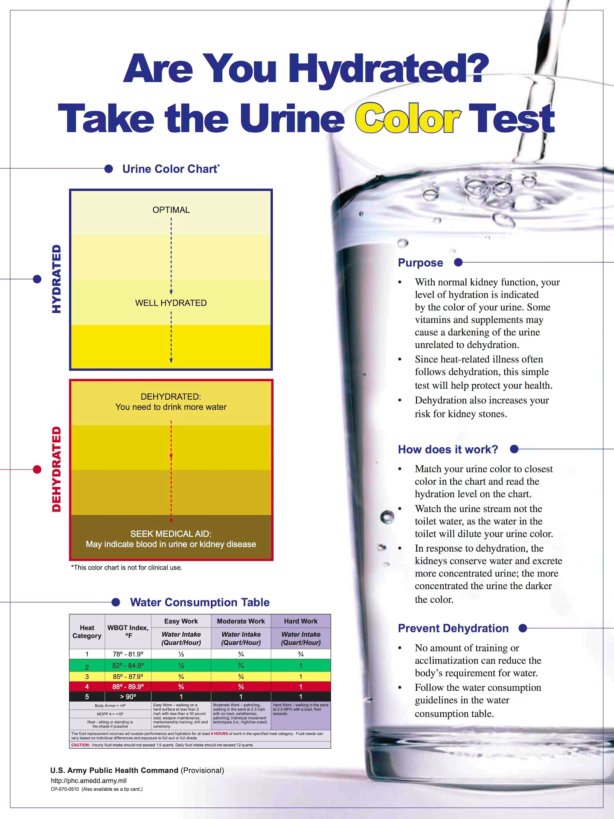 Urine Color Test